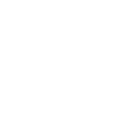 Customized Solutions